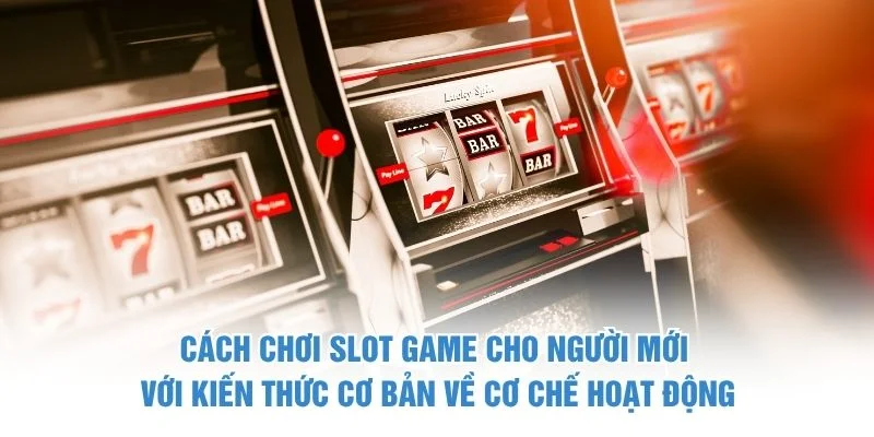 Cách chơi slot game cho người mới với kiến thức cơ bản về cơ chế hoạt động